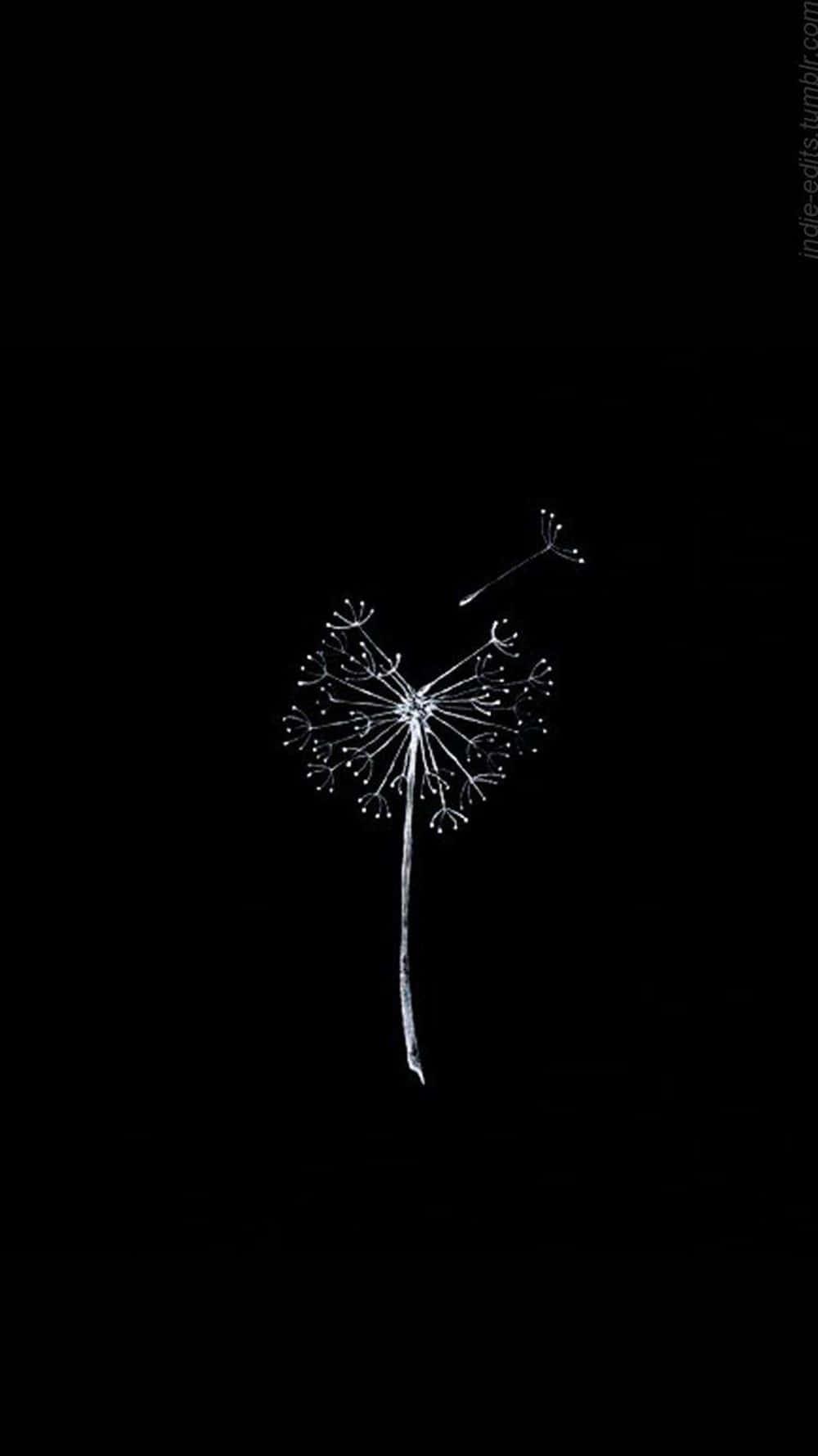 A Mysterious Yet Alluring Dark Creature — 1000x1779 wallpaper