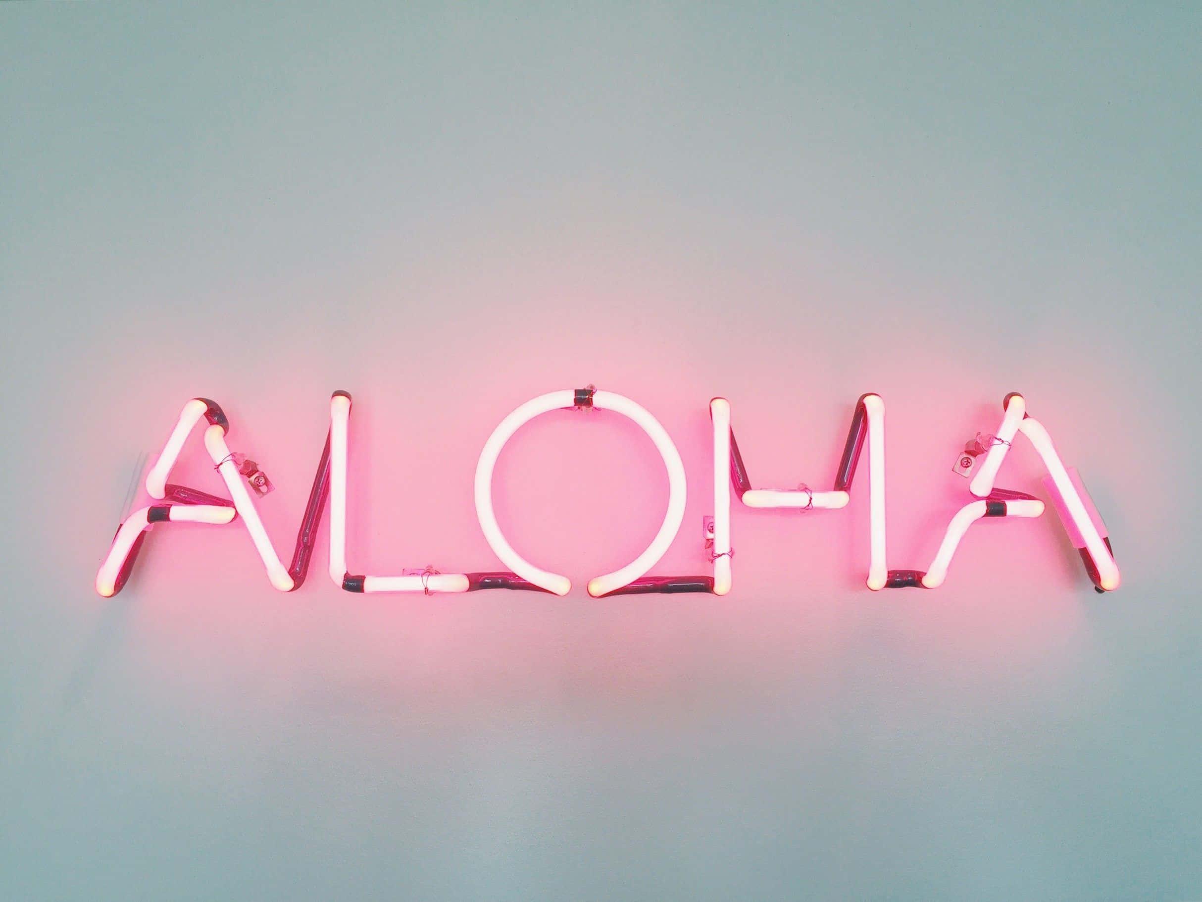 a neon sign with the word aloha on it — 2428x1821 wallpaper