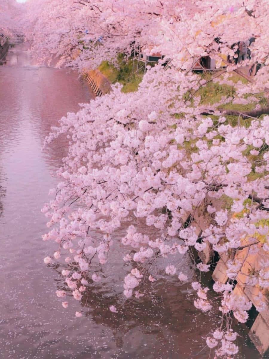 A Pastel Dreamscape — 900x1200 wallpaper