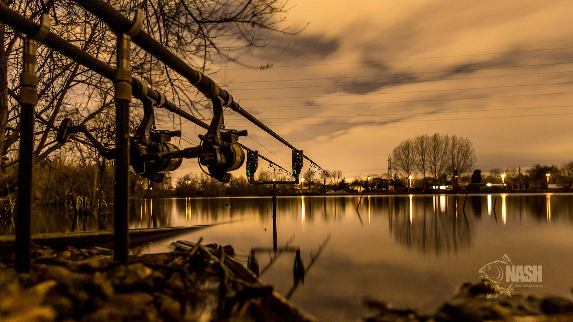 A peaceful day of carp fishing by the lake — 1920x1080 wallpaper