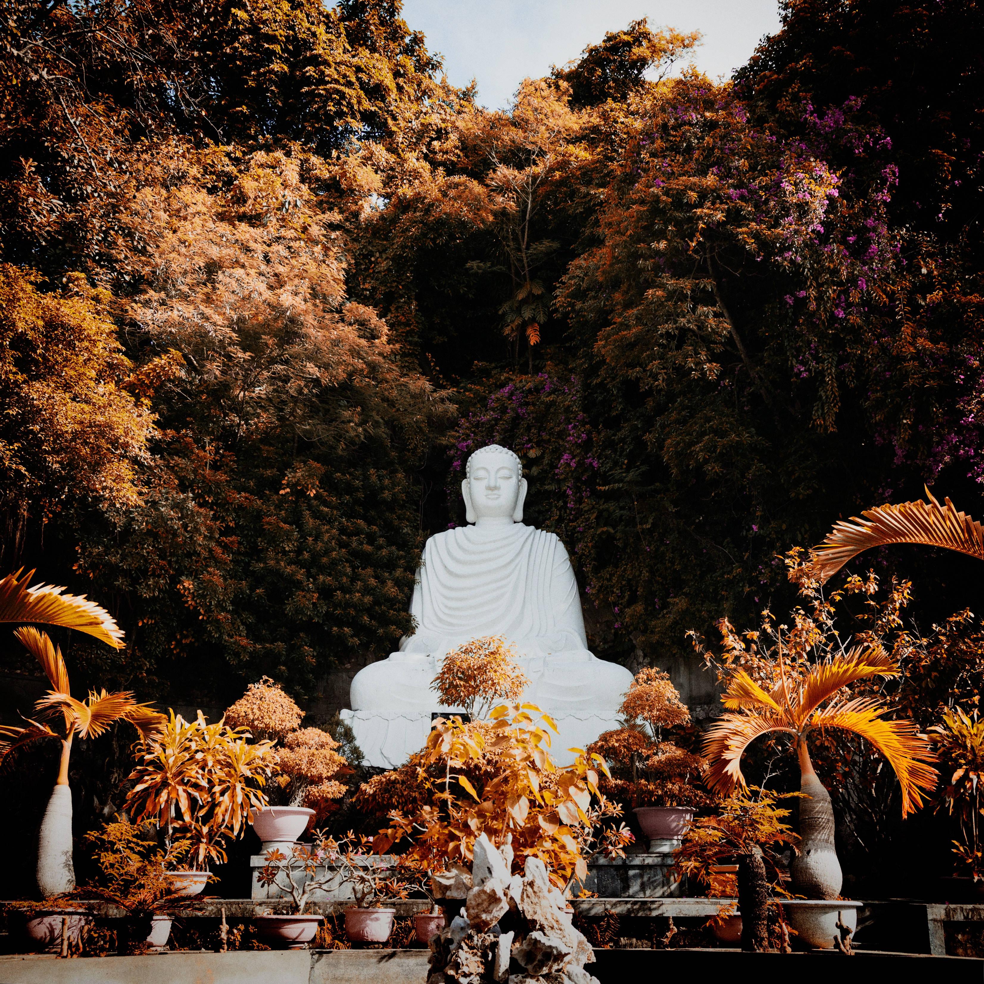 A peaceful White Buddha Statue in Nature — 3305x3305 wallpaper