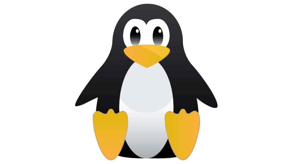 a penguin is standing on a white background — 970x545 wallpaper