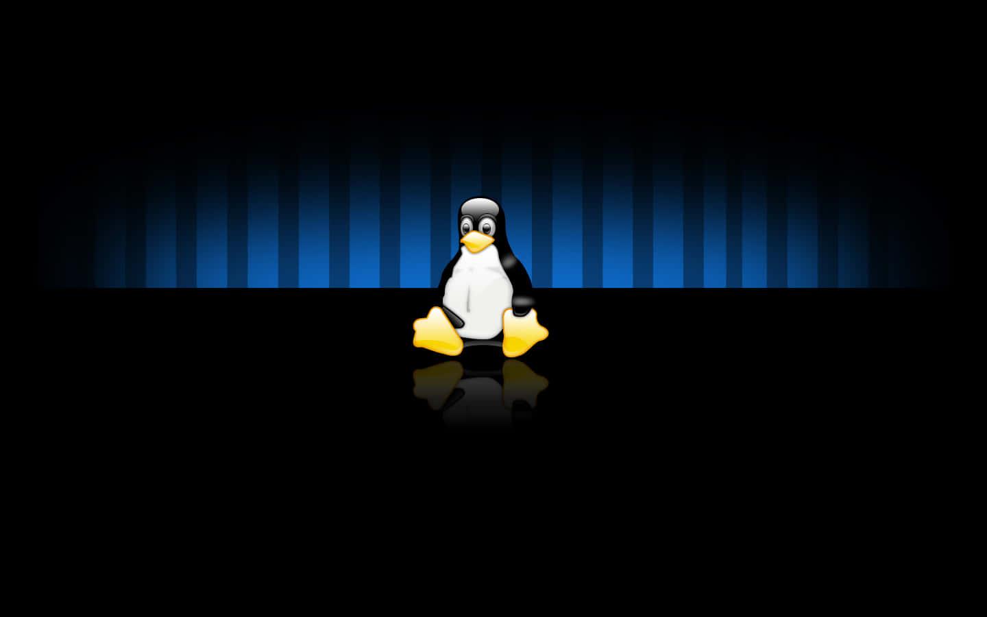 a penguin standing on a black background — 1440x900 wallpaper