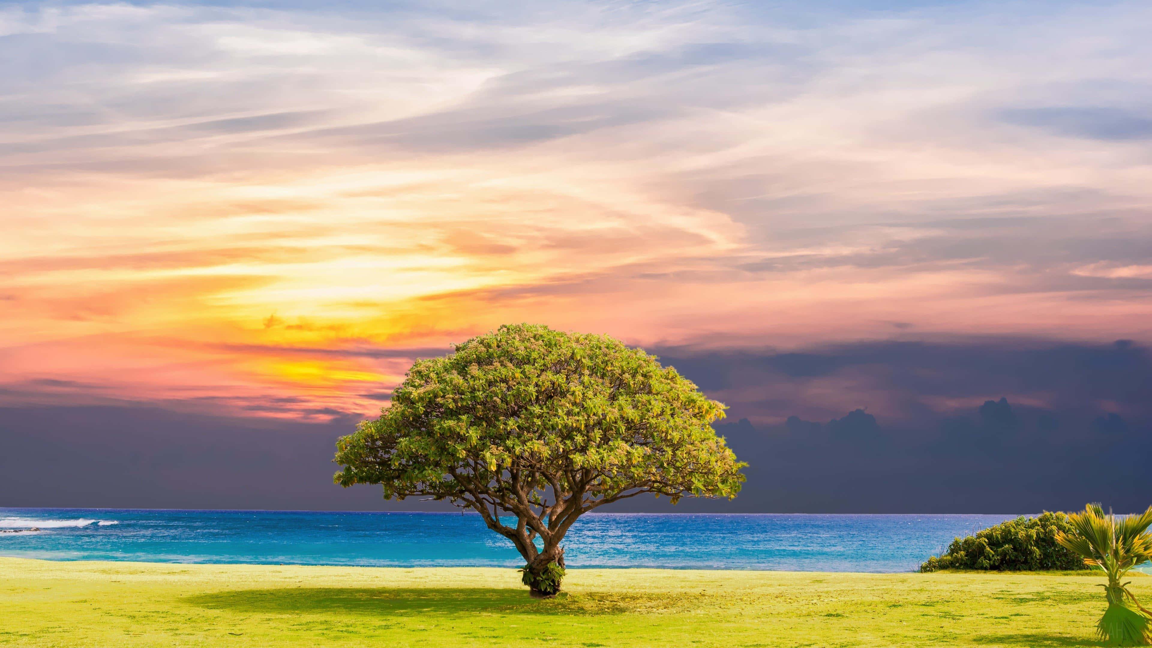 A perfect summer day to unwind on the beach. — 3840x2160 wallpaper