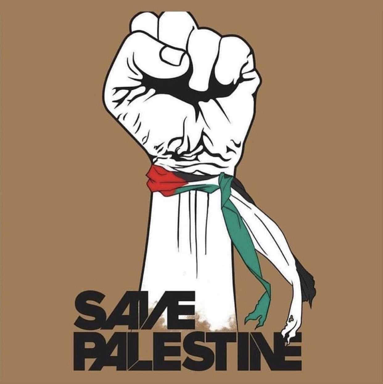 A photo of an olive tree with the Palestinian flag on a beautiful day in Palestine. — 1242x1246 wallpaper