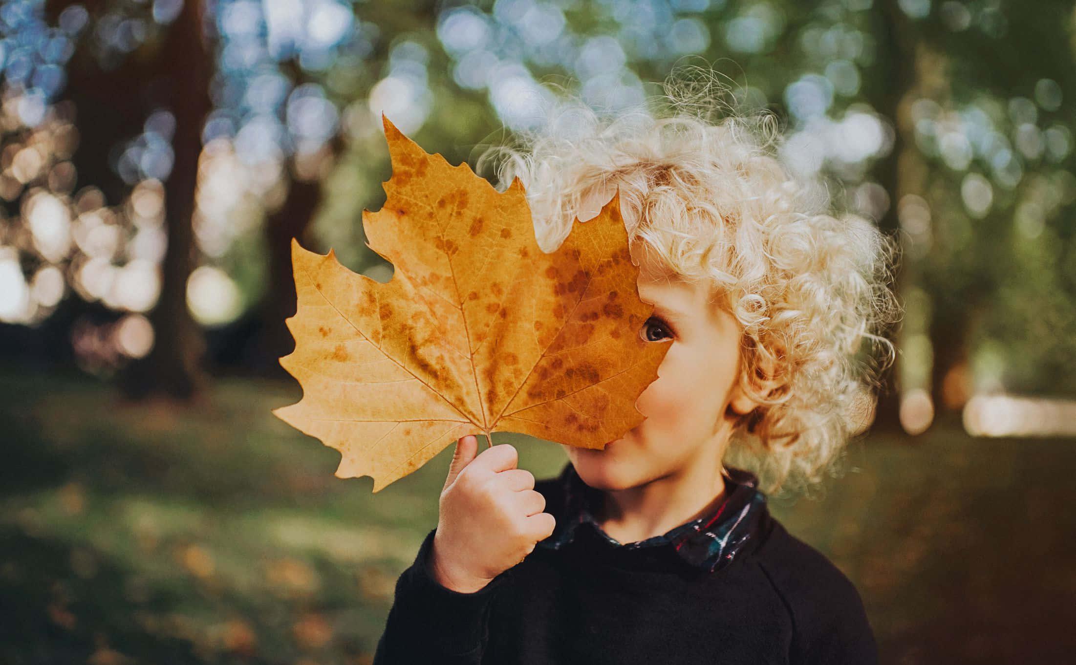 A picture perfect moment in Fall — 2202x1361 wallpaper