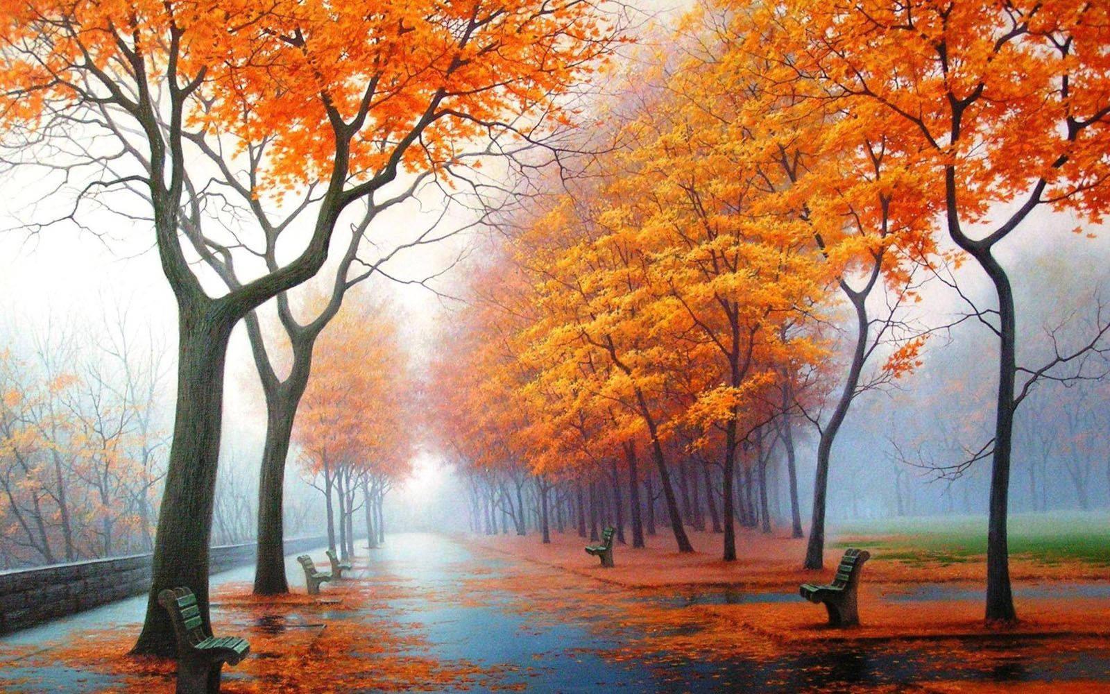 A picturesque view of autumn trees in full blaze of color. — 1600x1000 wallpaper