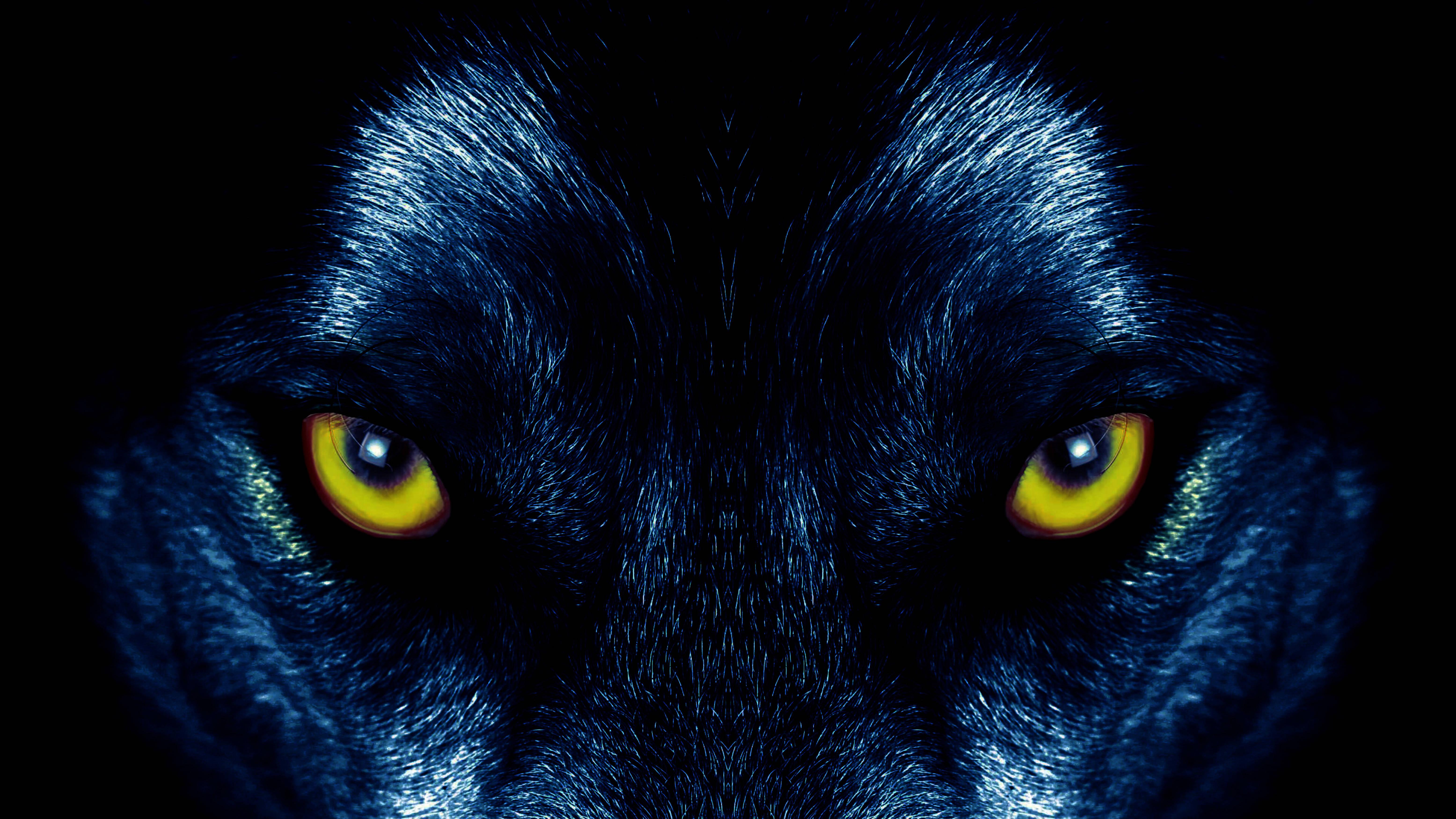 A piercing gaze of a yellow wolf — 6222x3500 wallpaper