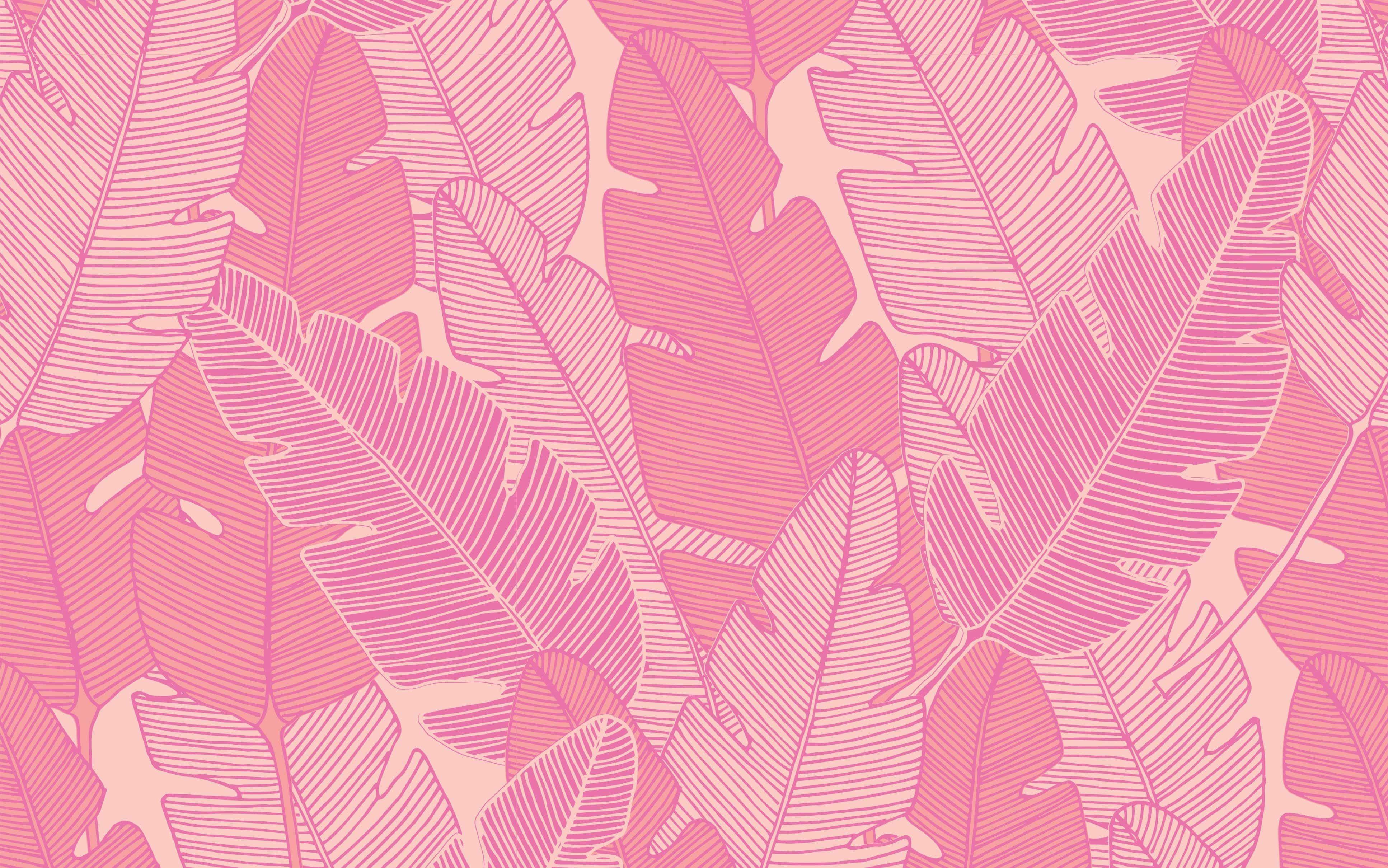 a pink and white tropical leaf pattern — 3868x2419 wallpaper