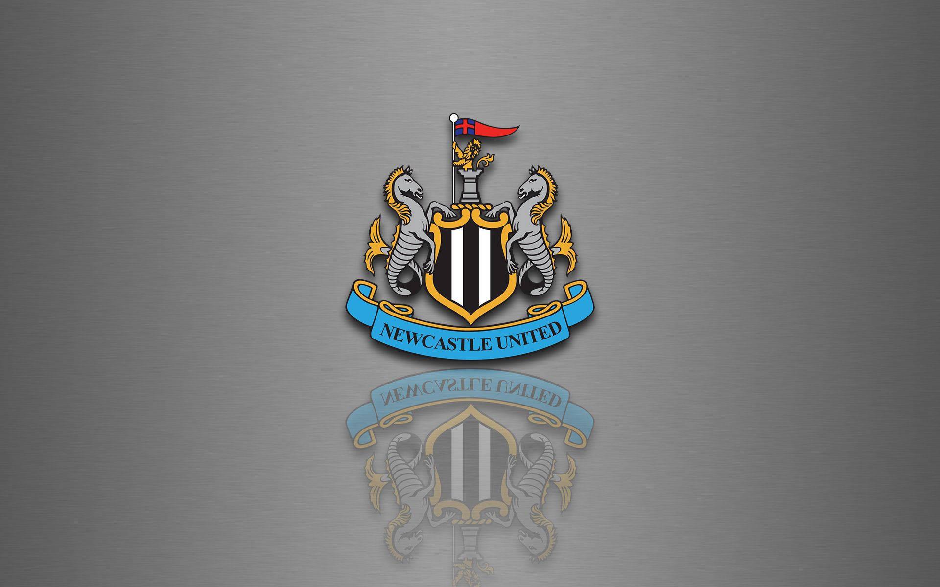 "A roaring crowd watches on as the Newcastle United F.C. take the field!” — 1920x1200 wallpaper