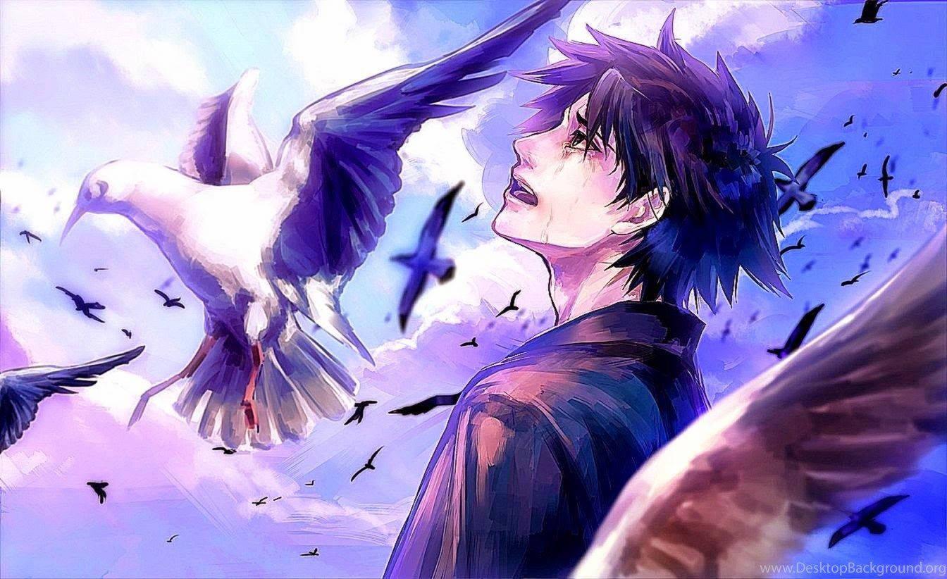 A Sad Anime Boy, Watching a Lonely Flight of Birds — 1344x822 wallpaper