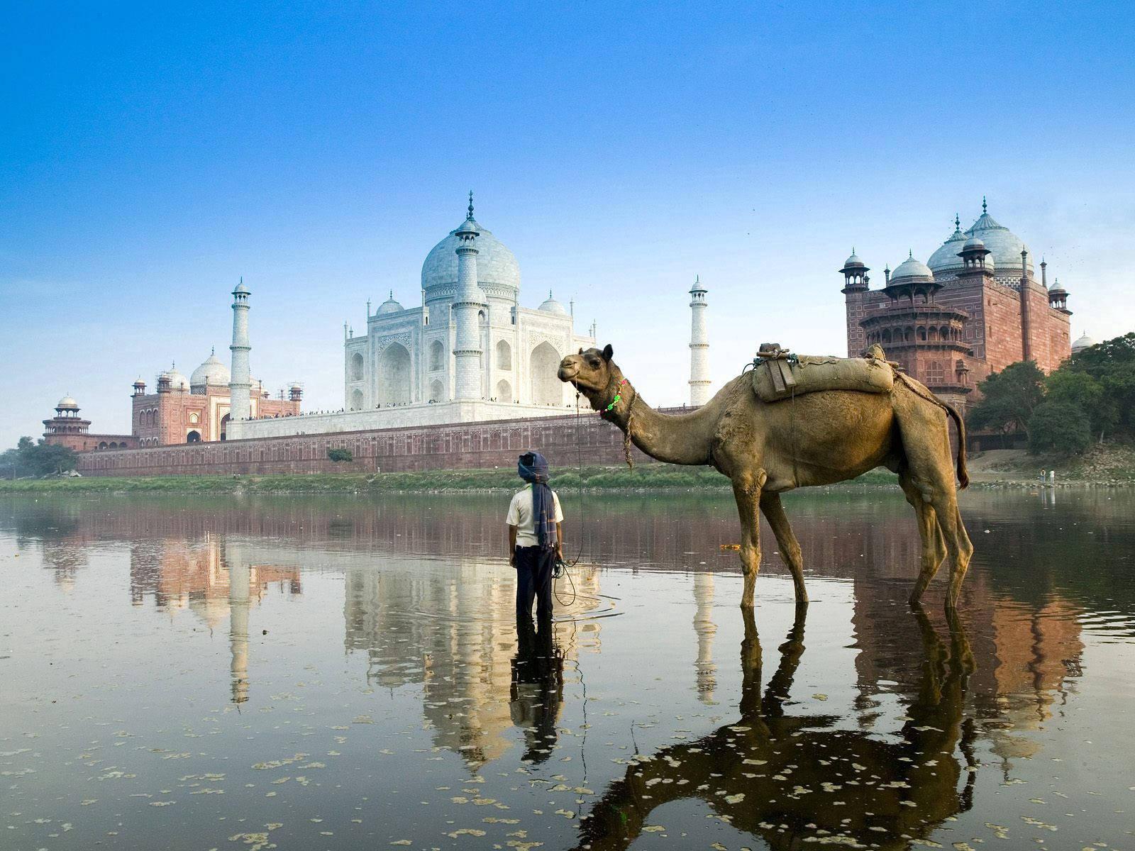 A Serene Scene of a Mosque Overlooking a Glittering Lake — 1600x1200 wallpaper