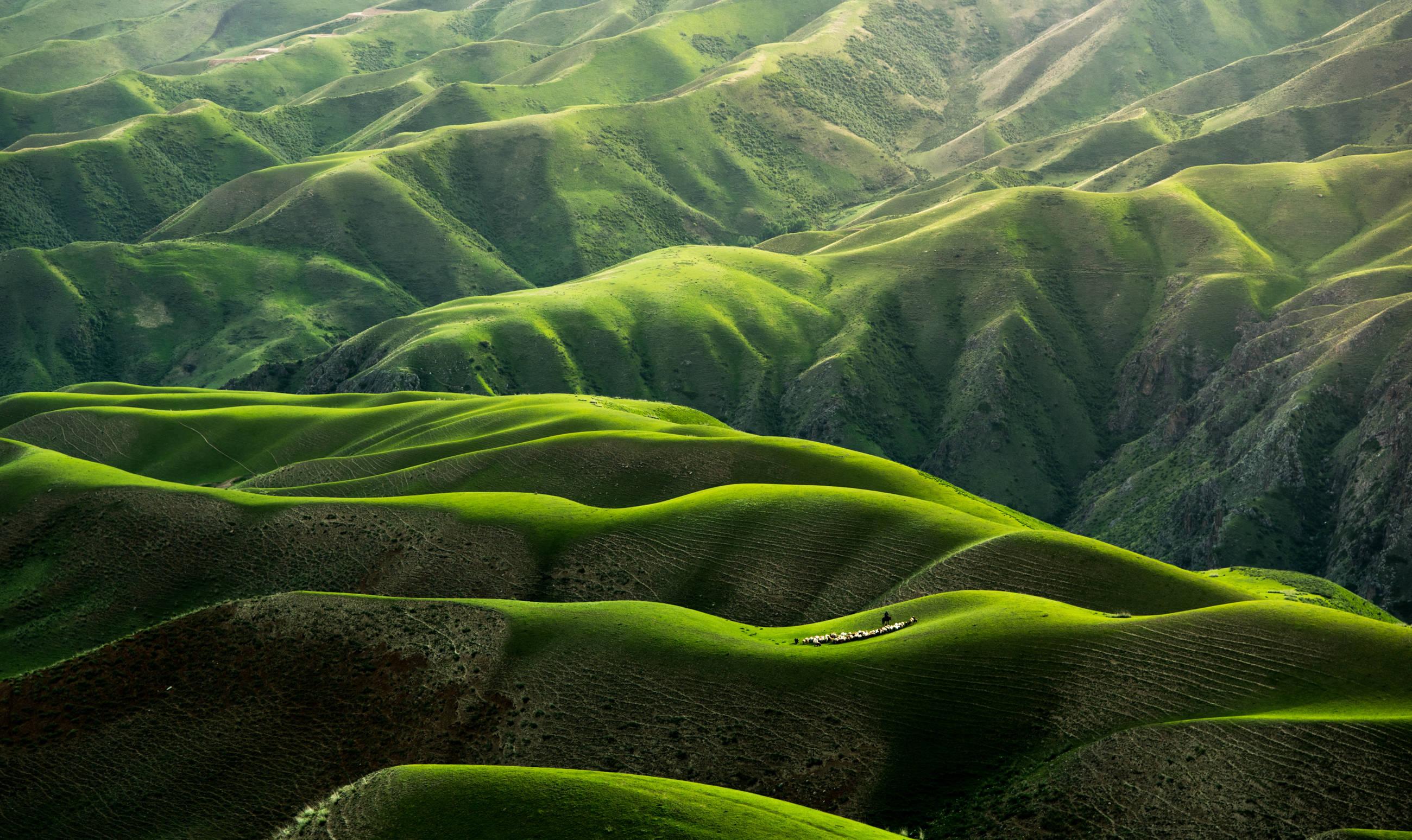 A Serene Spring Day on the Desktop — 2600x1548 wallpaper