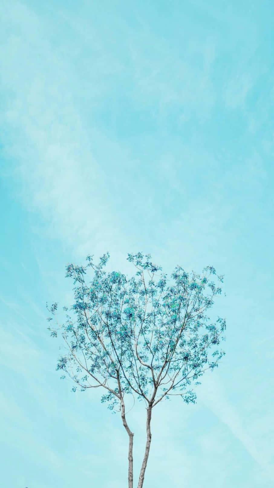 a single tree in the middle of a field