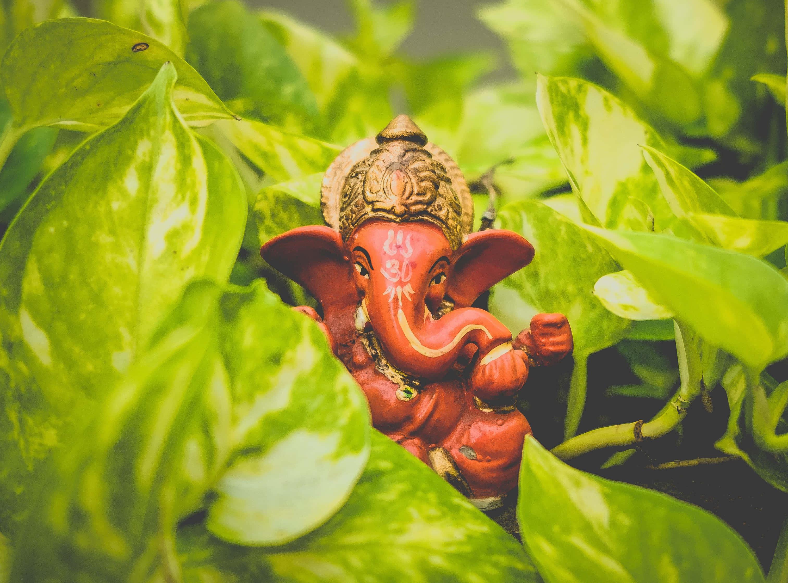 a small statue of ganesha sitting in a green plant — 3025x2237 wallpaper