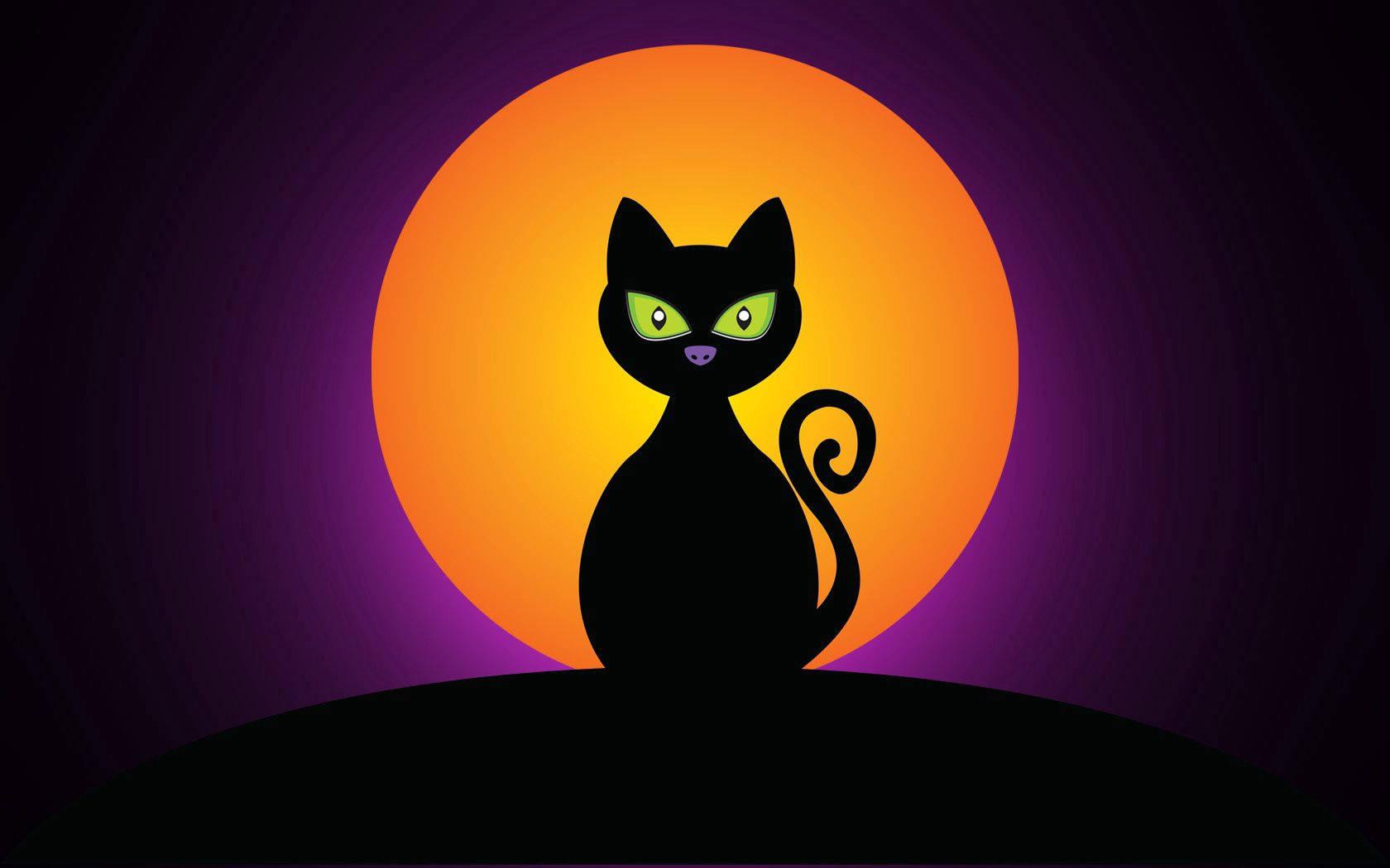 A spooky black cat and a mysterious Halloween moon — 1680x1050 wallpaper