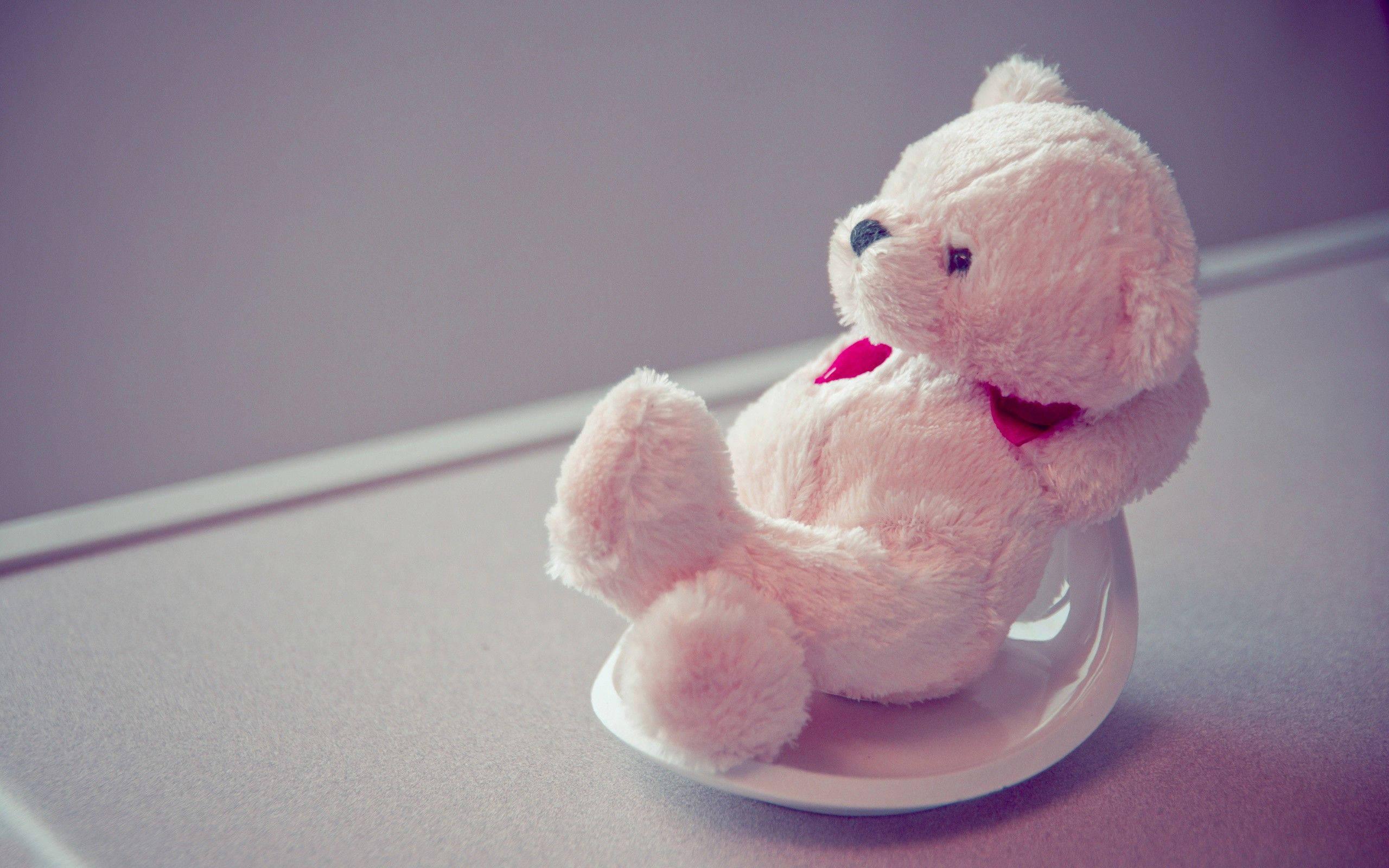 A Sweet Day With My Cuddly Teddy Bear — 2560x1600 wallpaper