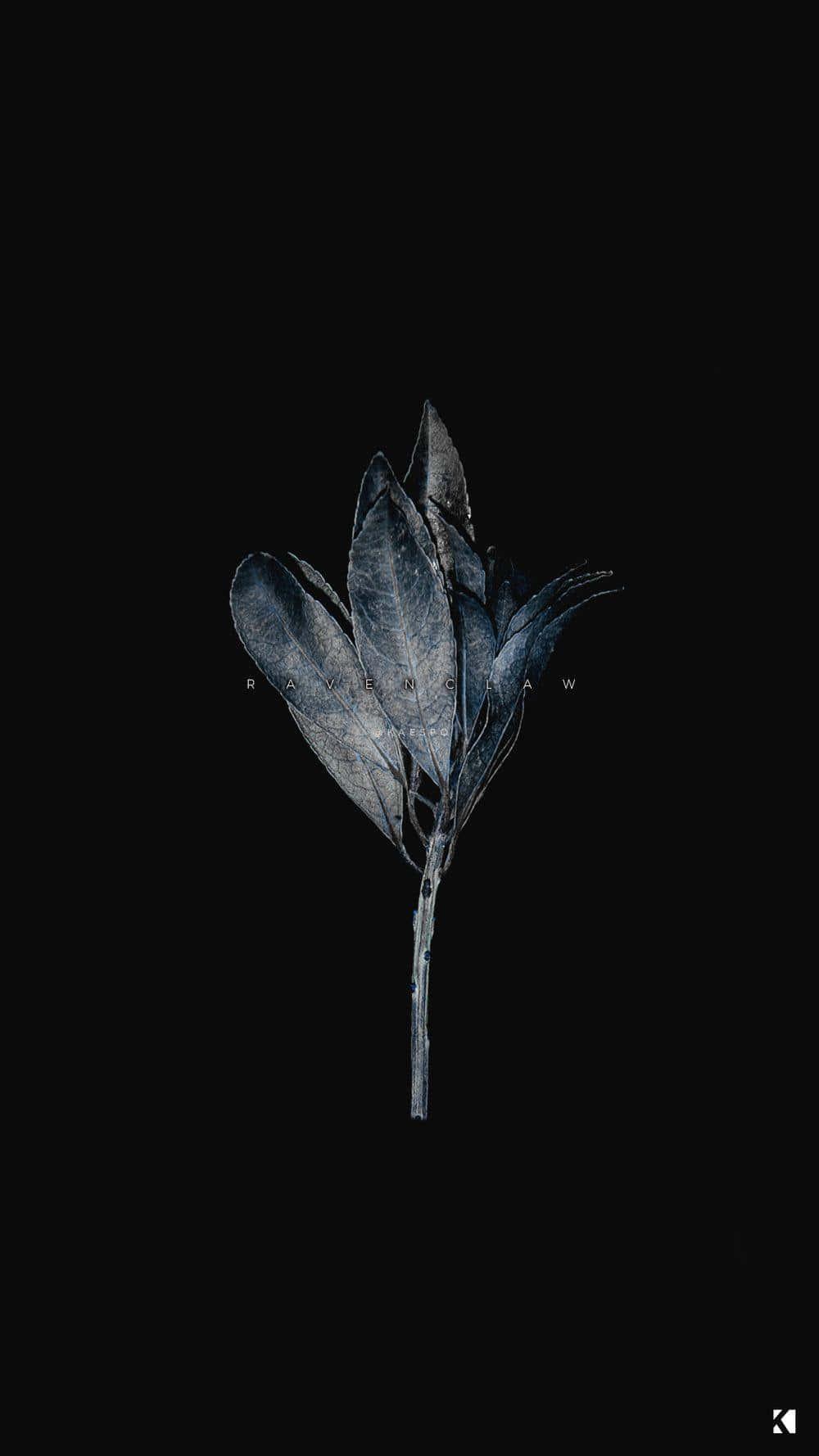 A unique, dark, and cute wallpaper — 1000x1778 wallpaper
