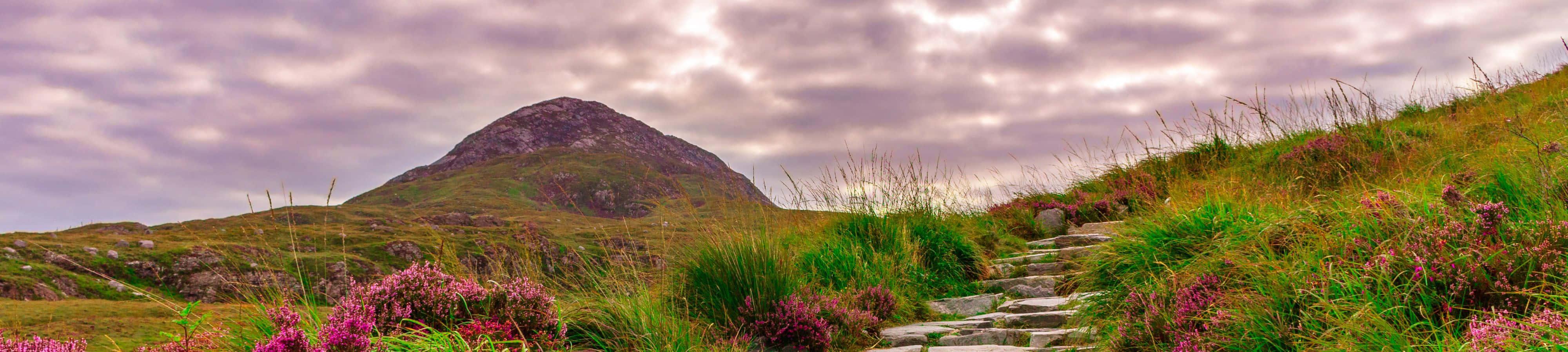 A View of Nature's Serenity — 4000x900 wallpaper