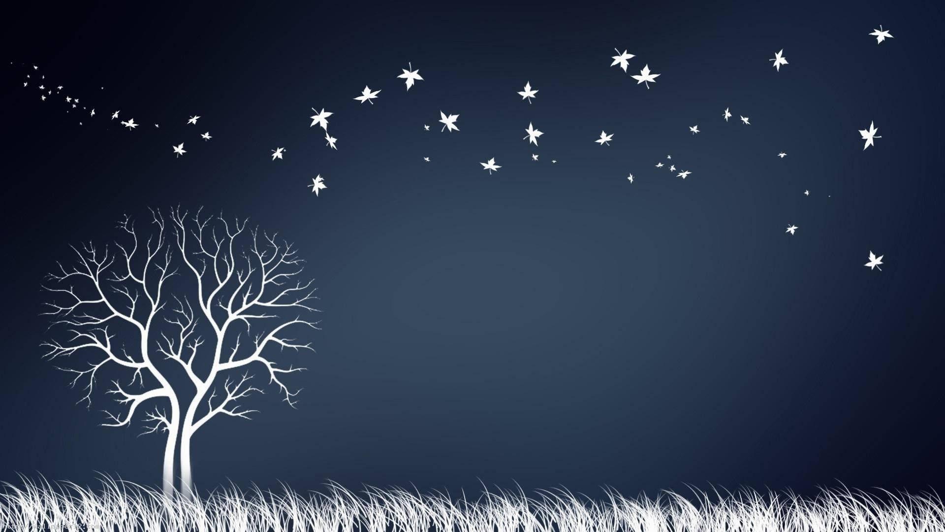 A White Tree Aglow in the Moonlight — 1920x1080 wallpaper