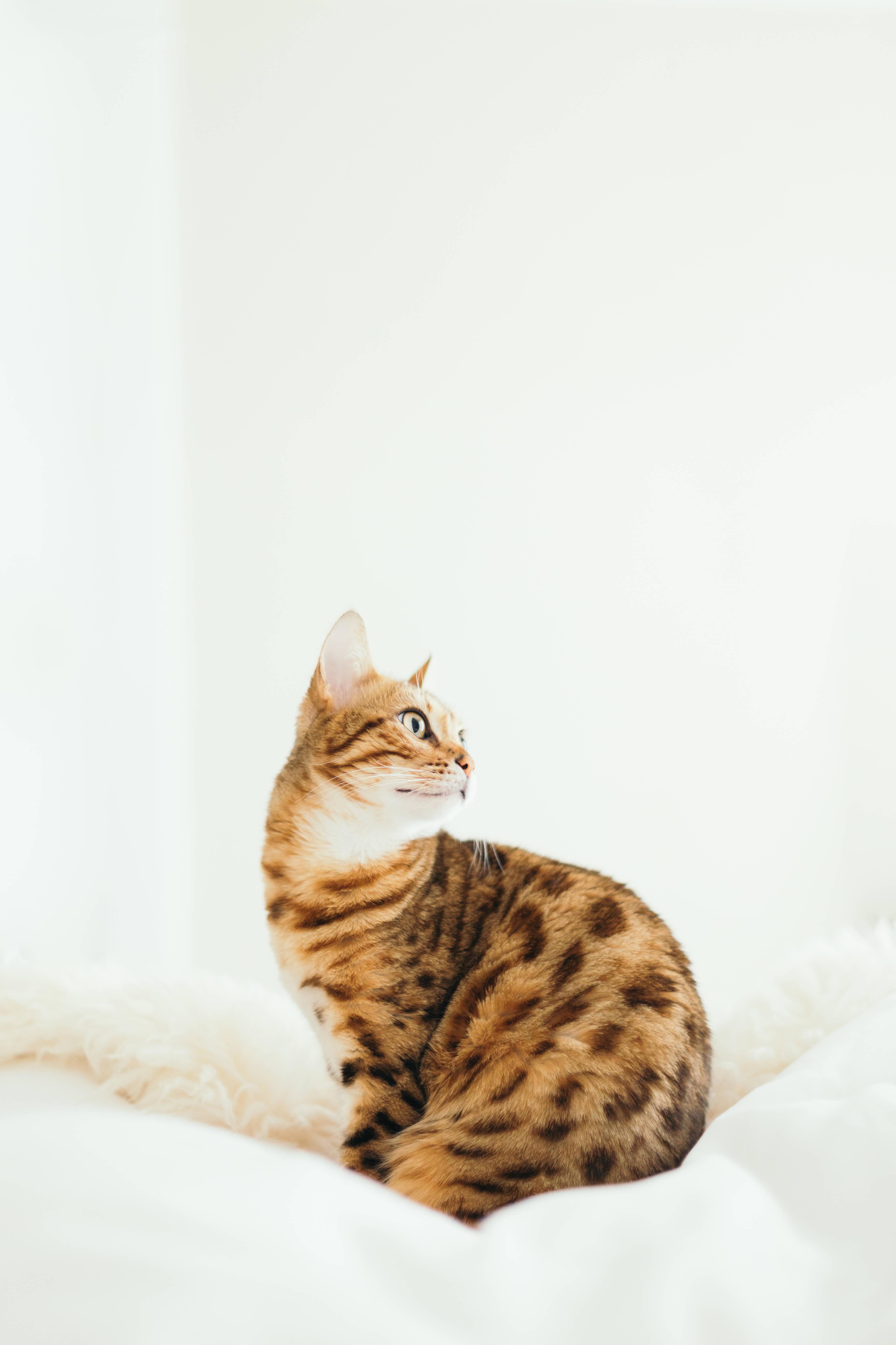 Adorable Summer Fun — 3648x5472 wallpaper
