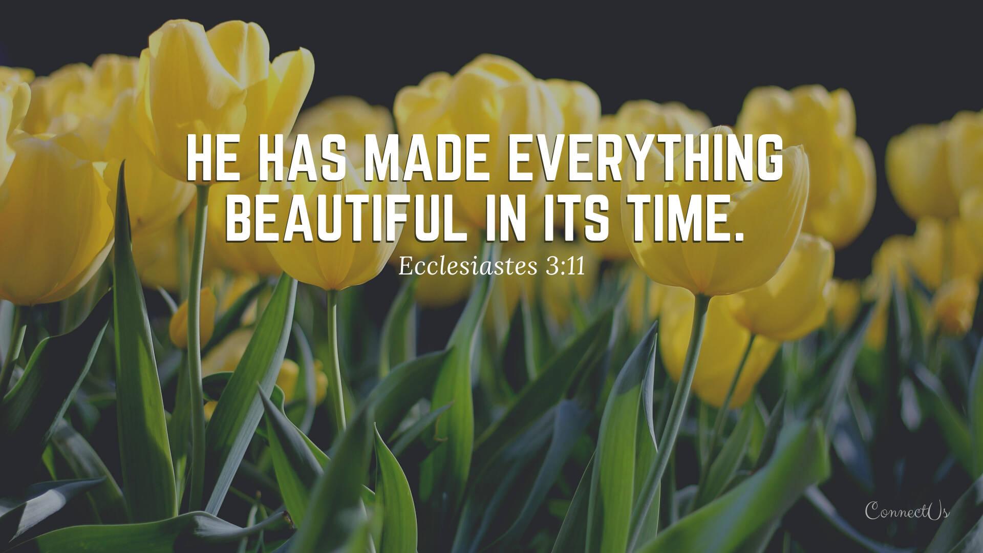 Aesthetic Bible Verse Ecclesiastes 3:11 — 1920x1080 wallpaper
