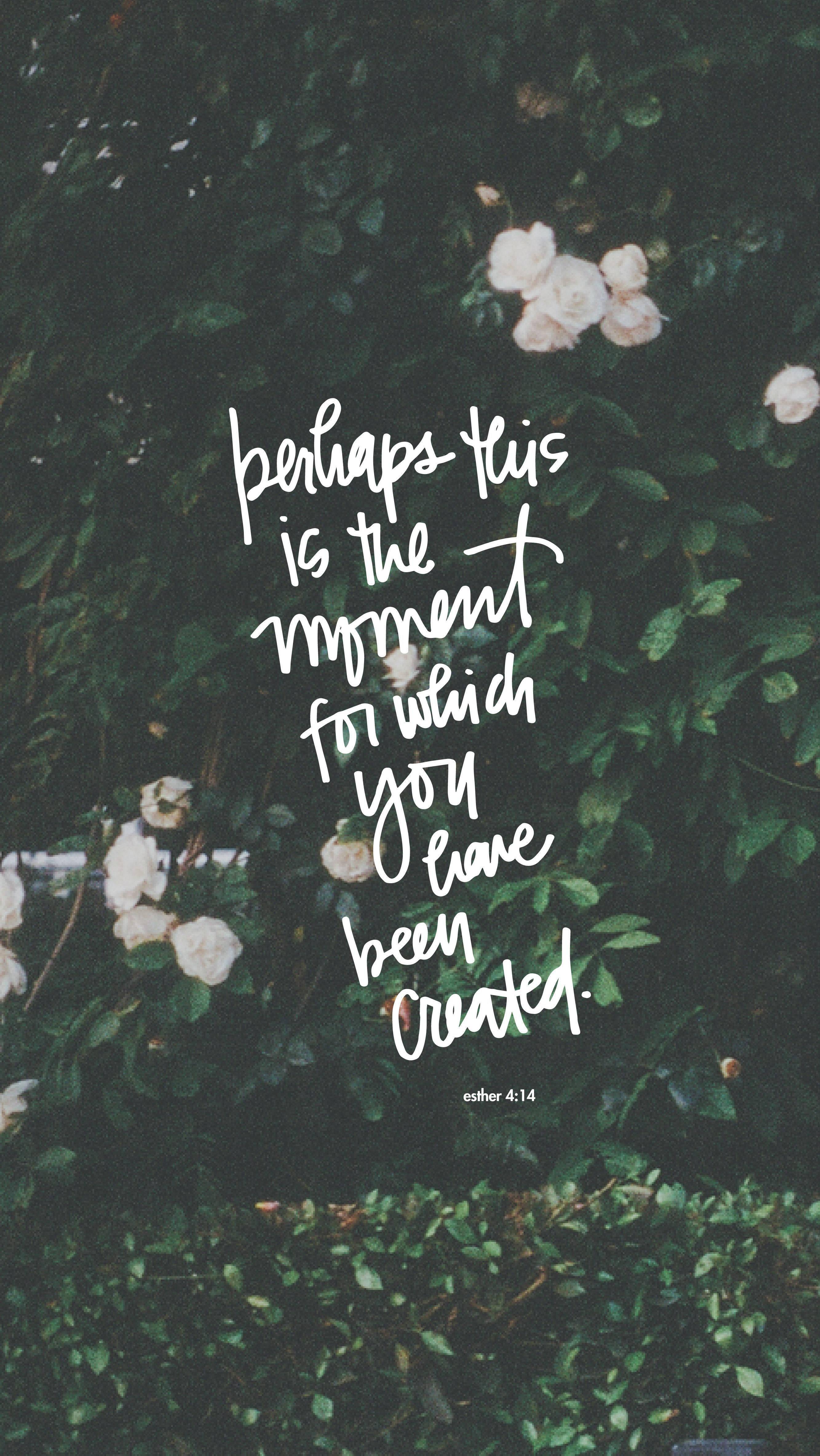 Aesthetic Bible Verse Esther 4:14 — 2667x4733 wallpaper