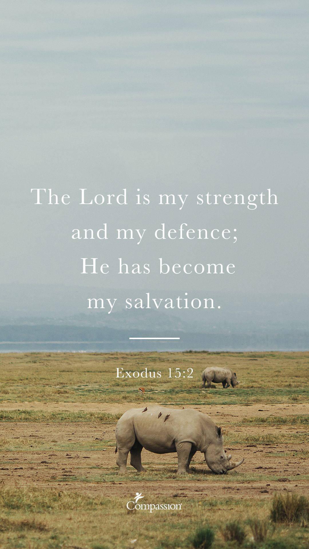 Aesthetic Bible Verse Exodus 15:2 — 1080x1920 wallpaper