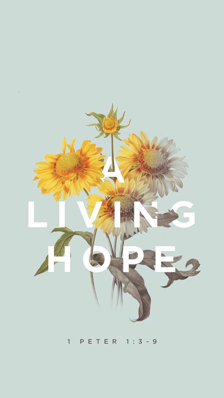 Aesthetic Bible Verse Peter 1:3 — 736x1308 wallpaper