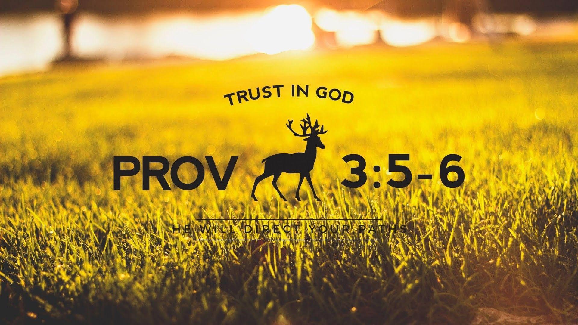 Aesthetic Bible Verse Proverbs 3:5 — 1920x1080 wallpaper