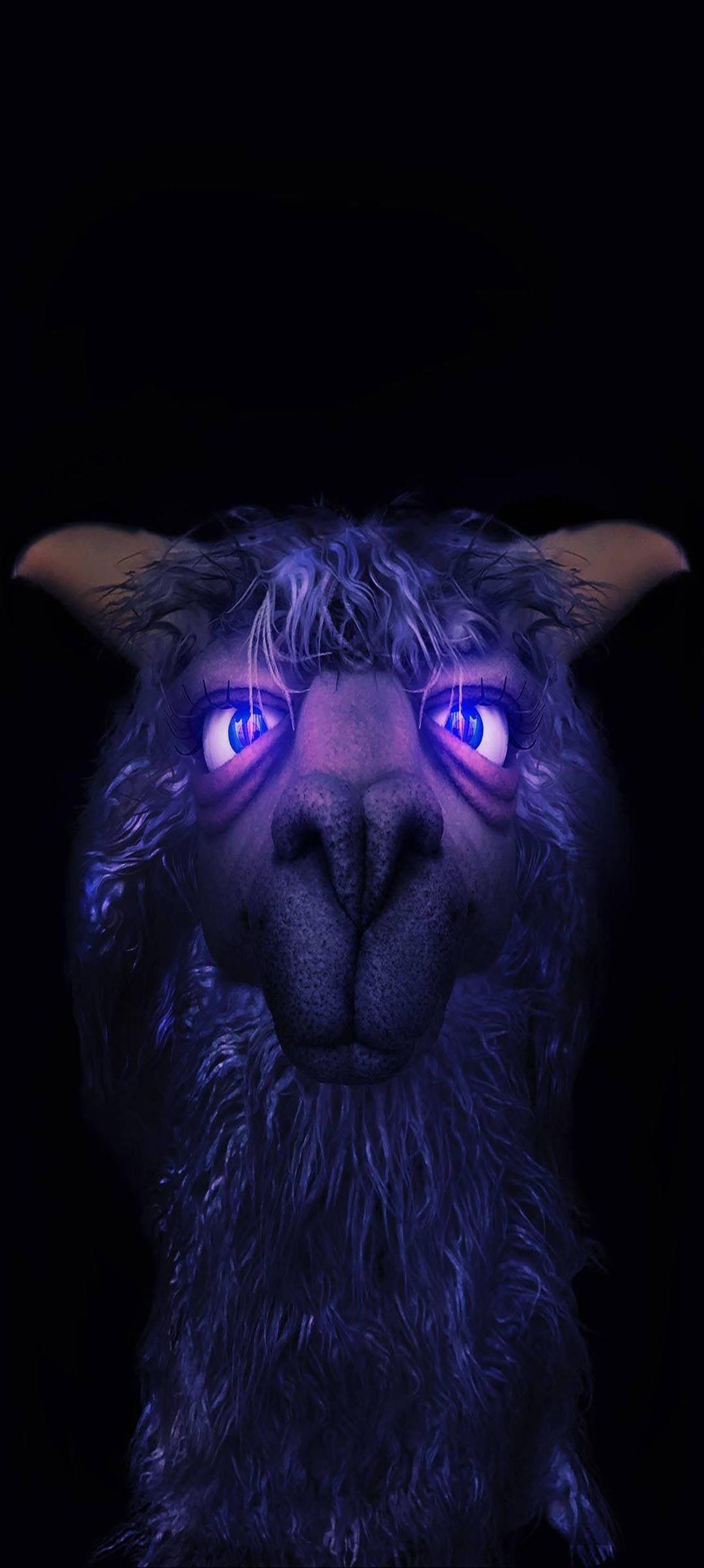 Aesthetic Boy Violet Llama — 1248x2778 wallpaper