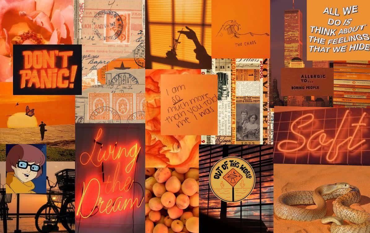 Aesthetic Collage Background Featuring a Vibrant Mix of Vintage Images and Textured Patterns — 1195x753 wallpaper
