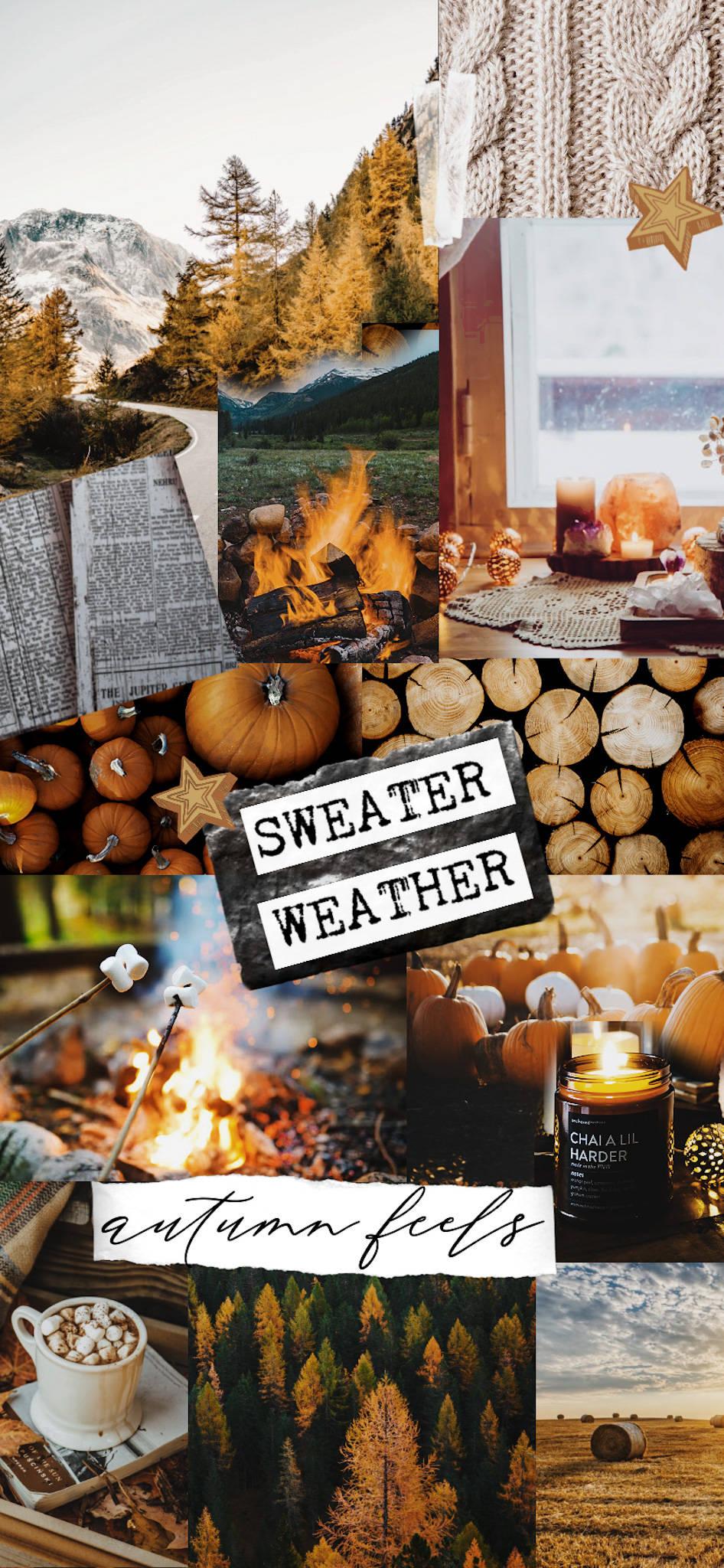 Aesthetic Collage Fall IPhone — 946x2048 wallpaper
