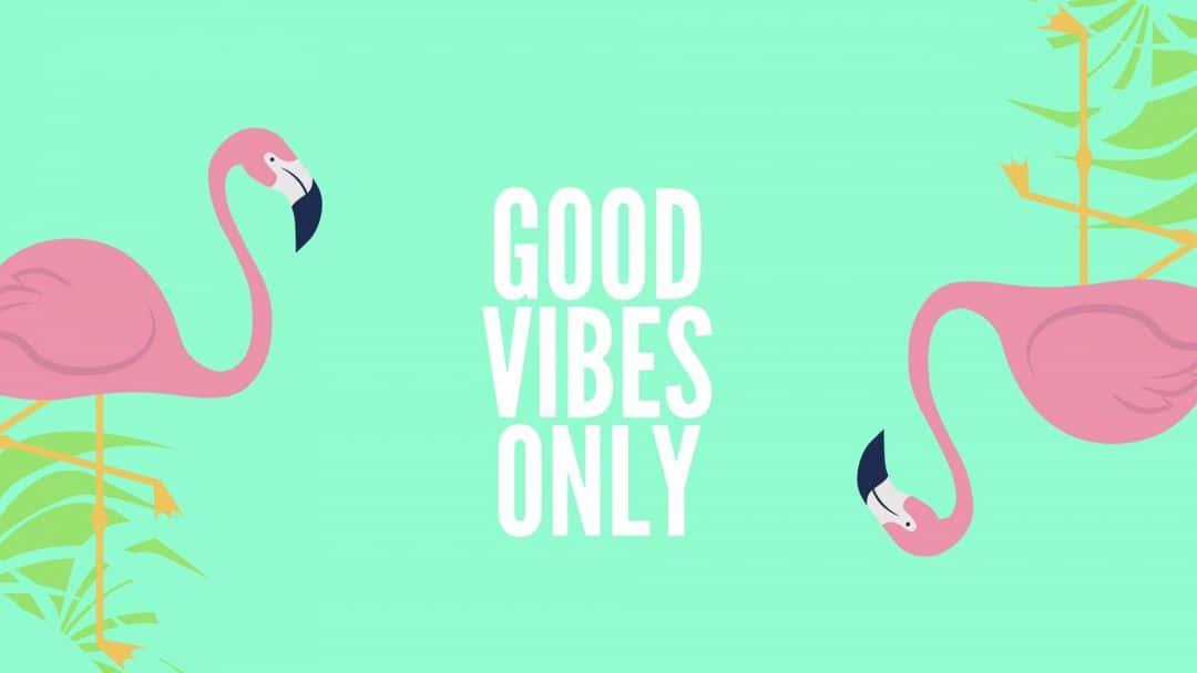 Aesthetic Computer 4k Green Background Pink Flamingos — 1080x608 wallpaper