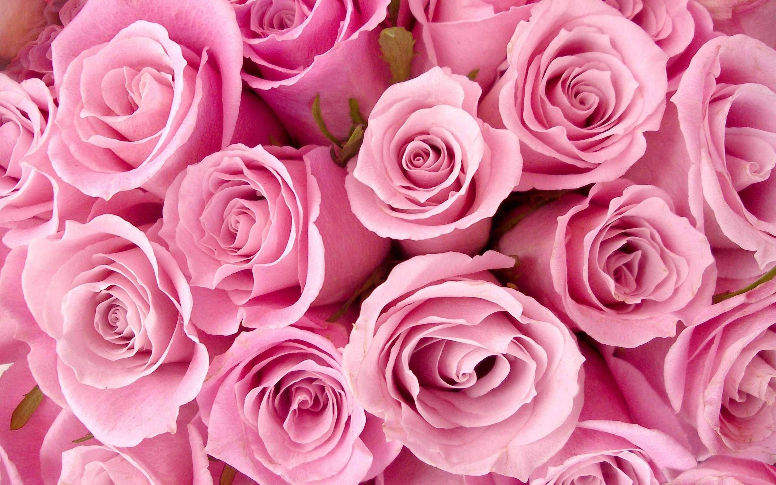 Aesthetic Girly Bouquet Of Flowers — 2560x1600 wallpaper