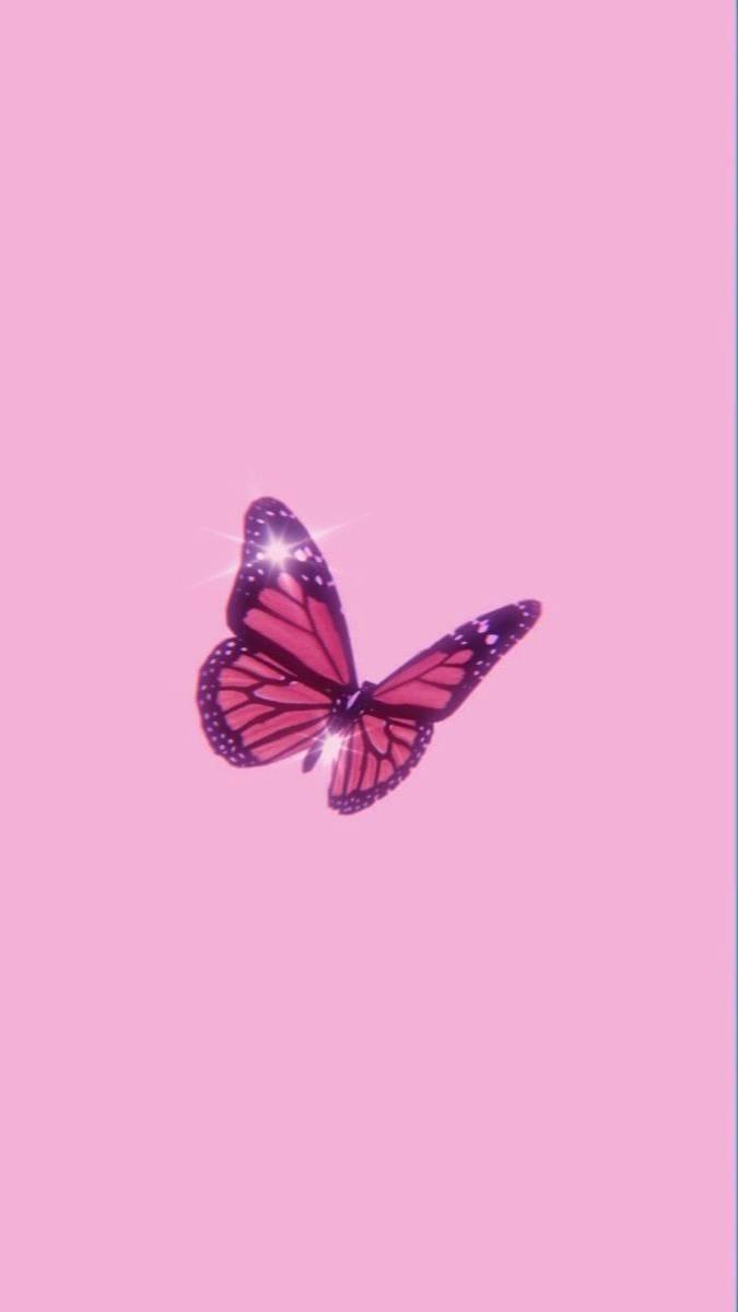 Aesthetic Girly Butterfly — 675x1200 wallpaper