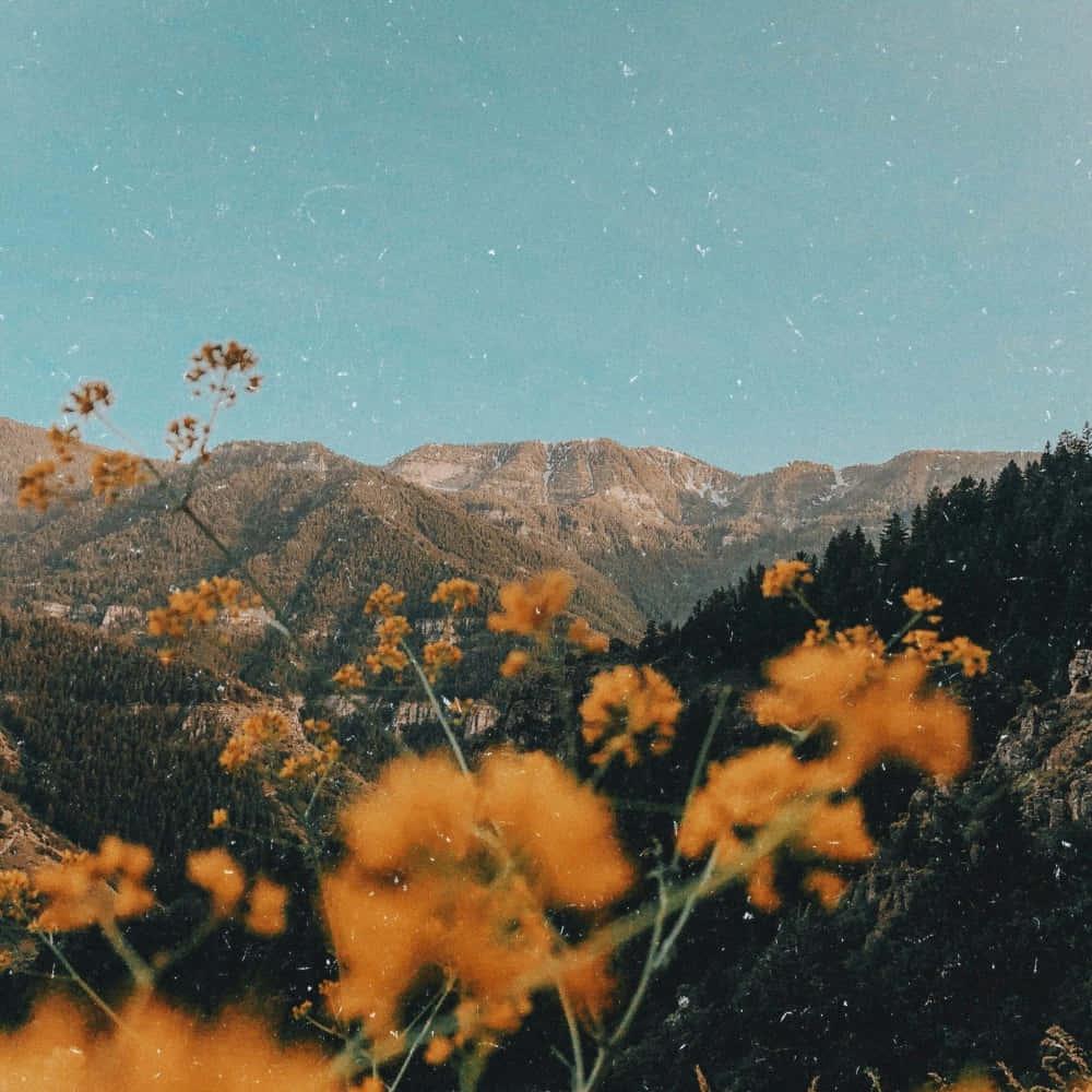 Aesthetic iPad: A Modern Way To Enjoy Technology — 1000x1000 wallpaper