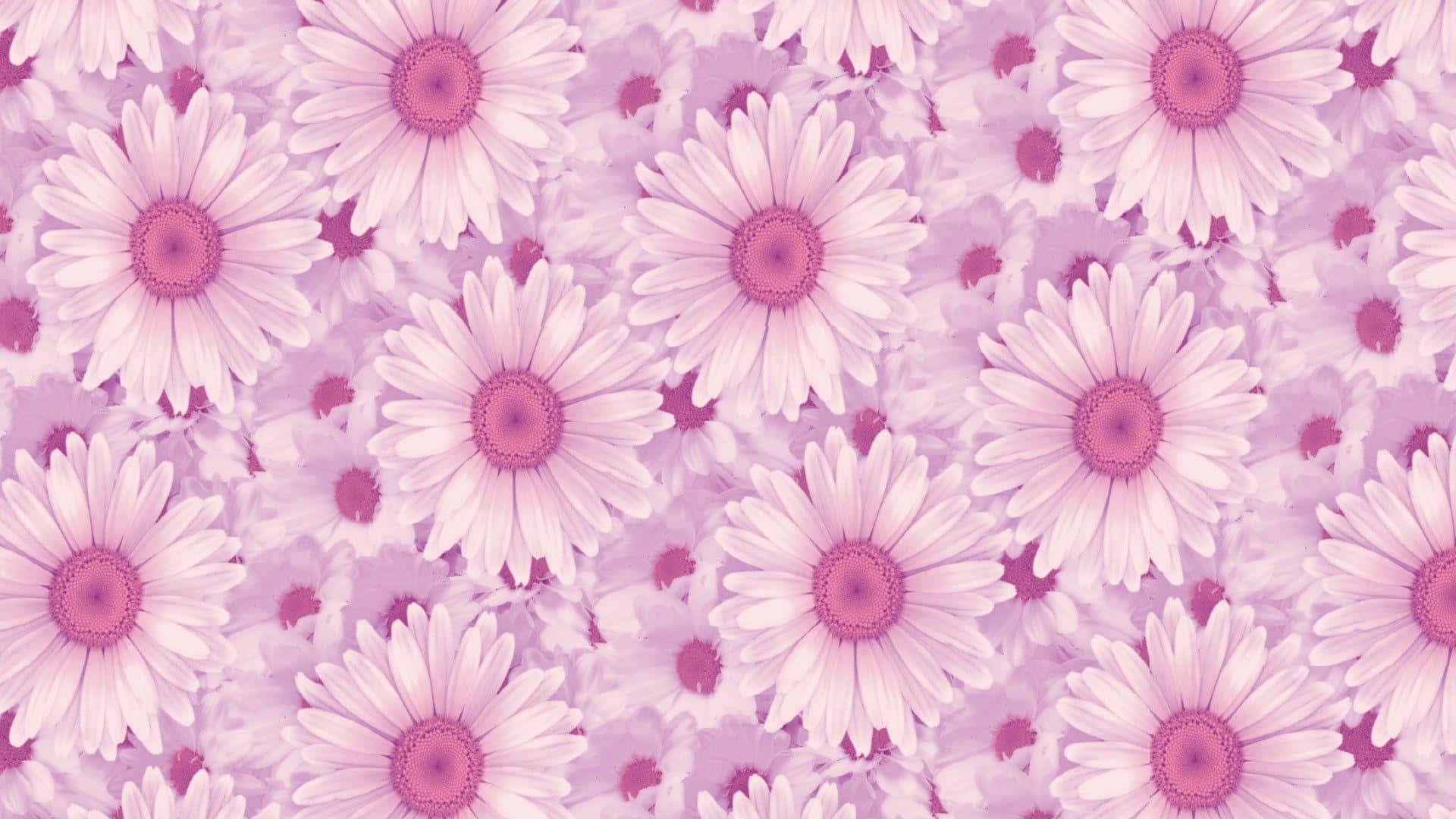 Aesthetic Laptop background