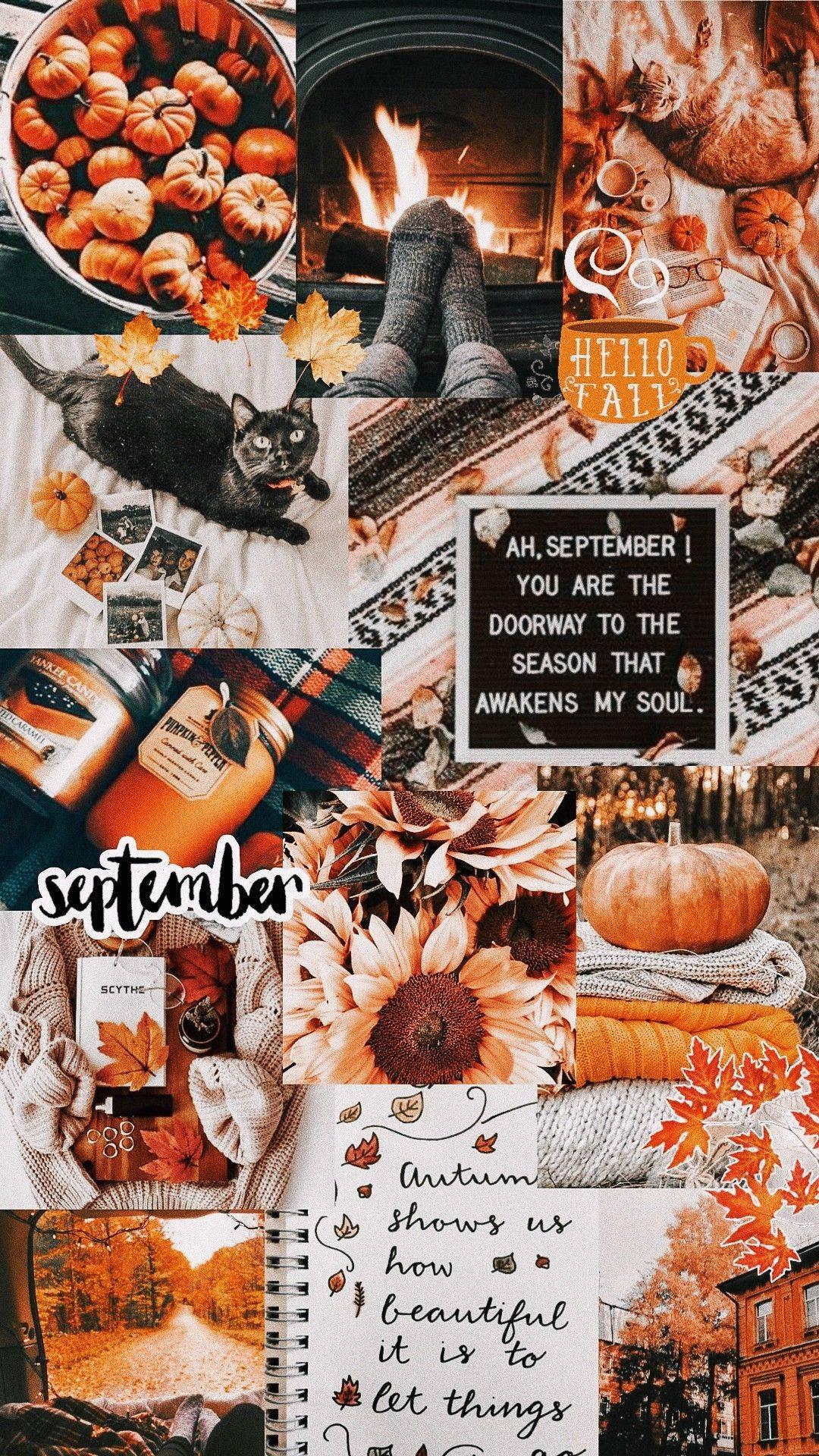 Aesthetic Orange Fall IPhone Collage — 1080x1920 wallpaper