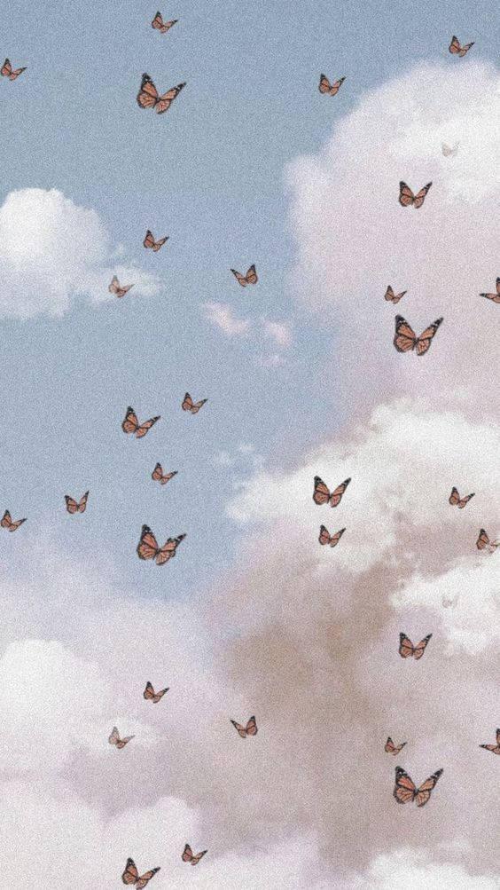 Aesthetic Phone Butterflies — 564x1003 wallpaper
