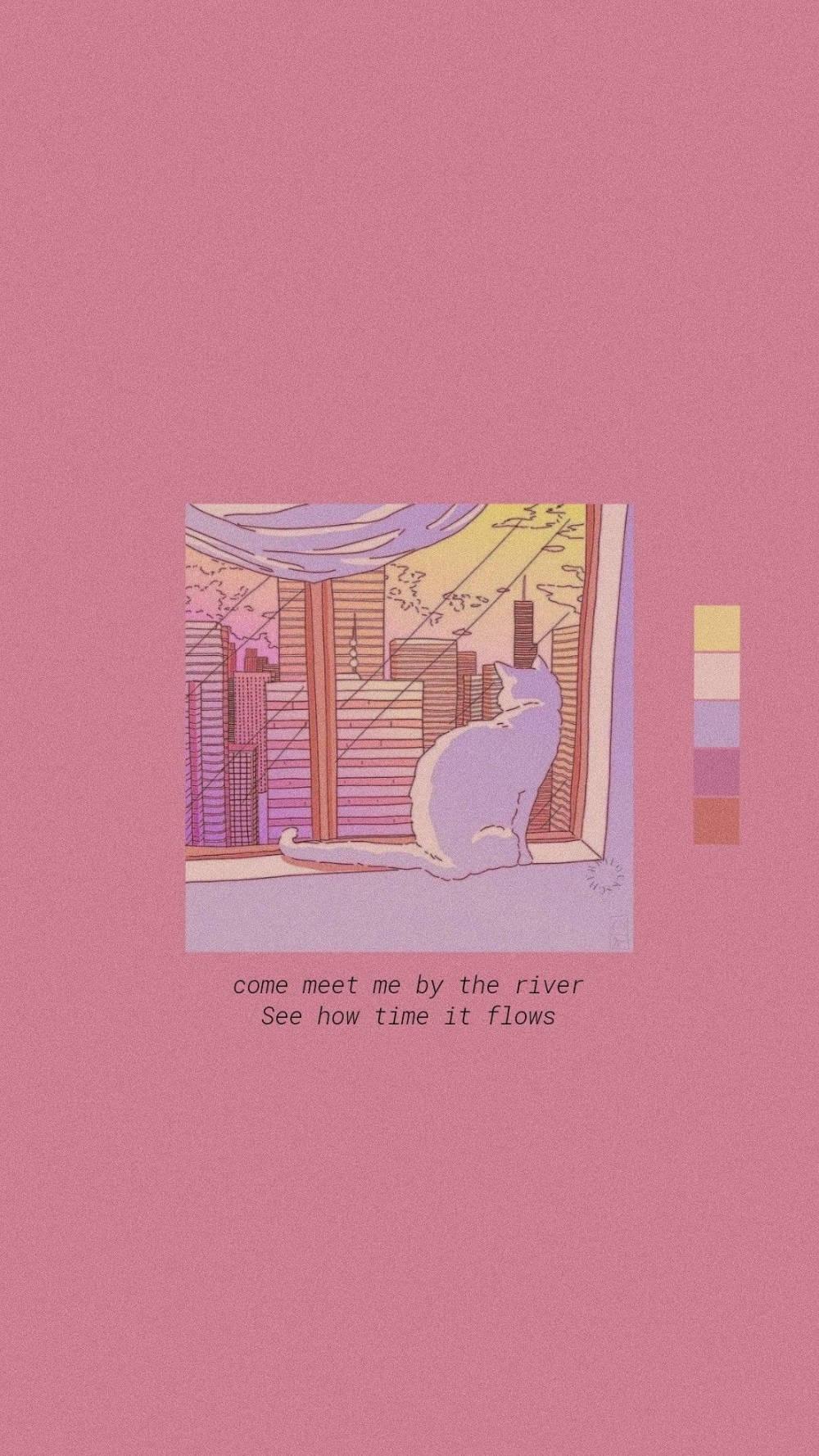 Aesthetic Pink iPhone Cat By Window — 1000x1778 wallpaper