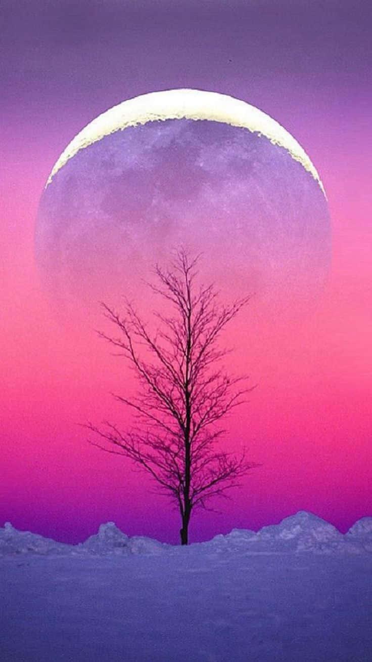 Aesthetic Pink Sunset Phone Background — 736x1308 wallpaper