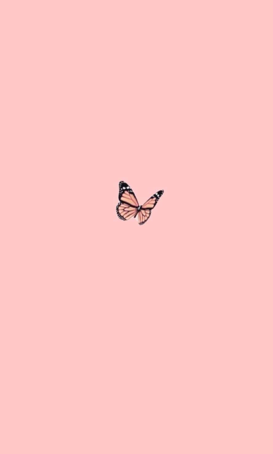 Aesthetic pink vibes for the cool souls — 888x1476 wallpaper
