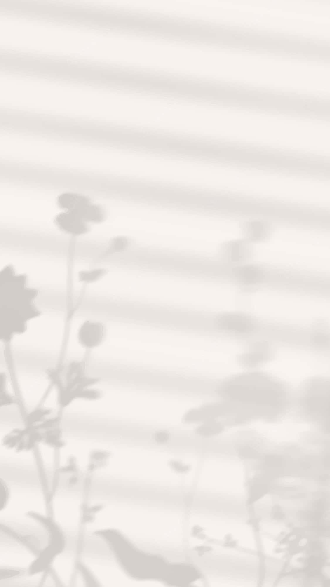 Aesthetic Plant Shadow Pictures — 1125x2000 wallpaper