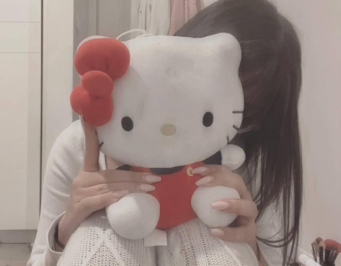Aesthetic Plushy Hello Kitty PFP — 1152x901 wallpaper