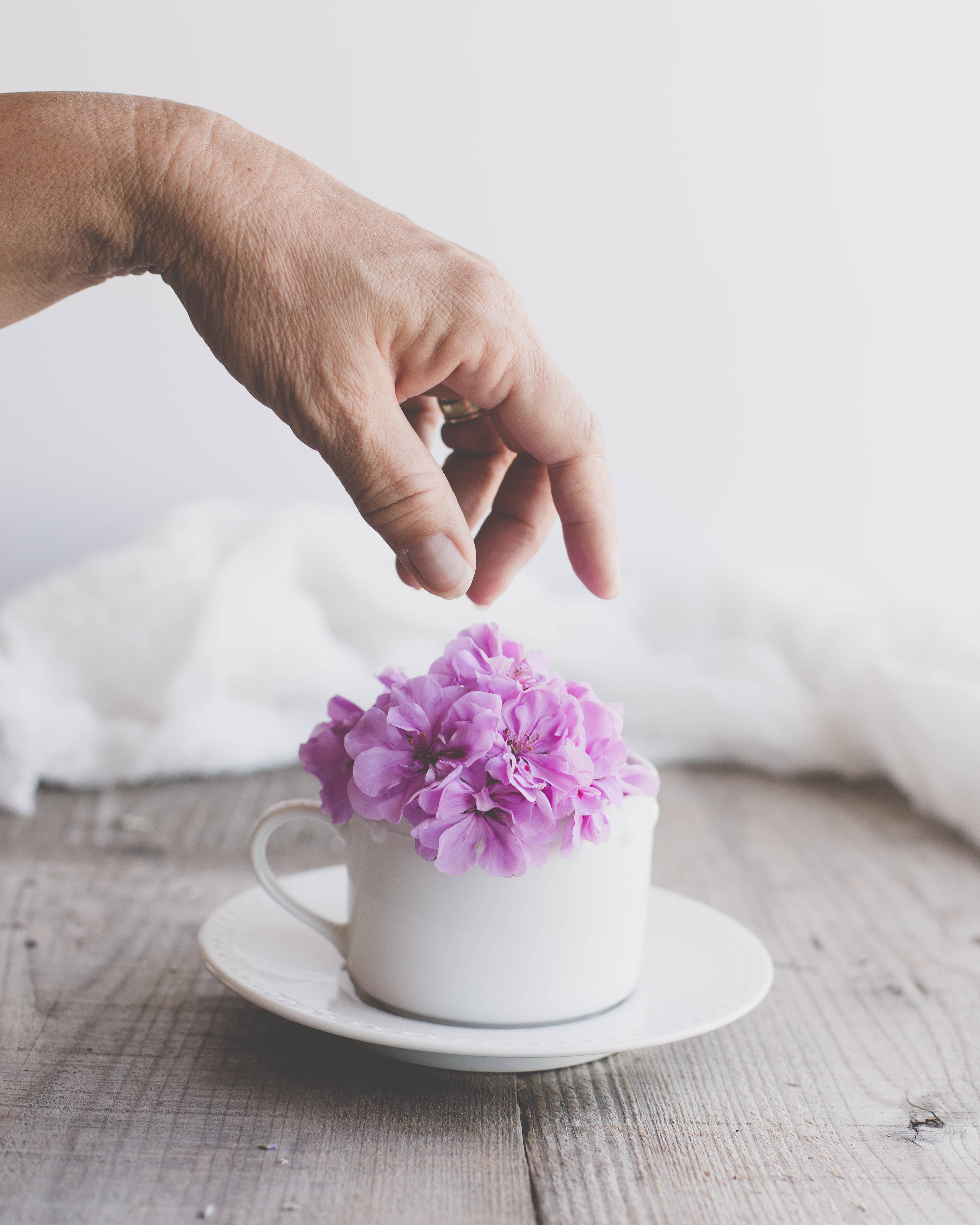 Aesthetic Purple Flower — 3777x4721 wallpaper