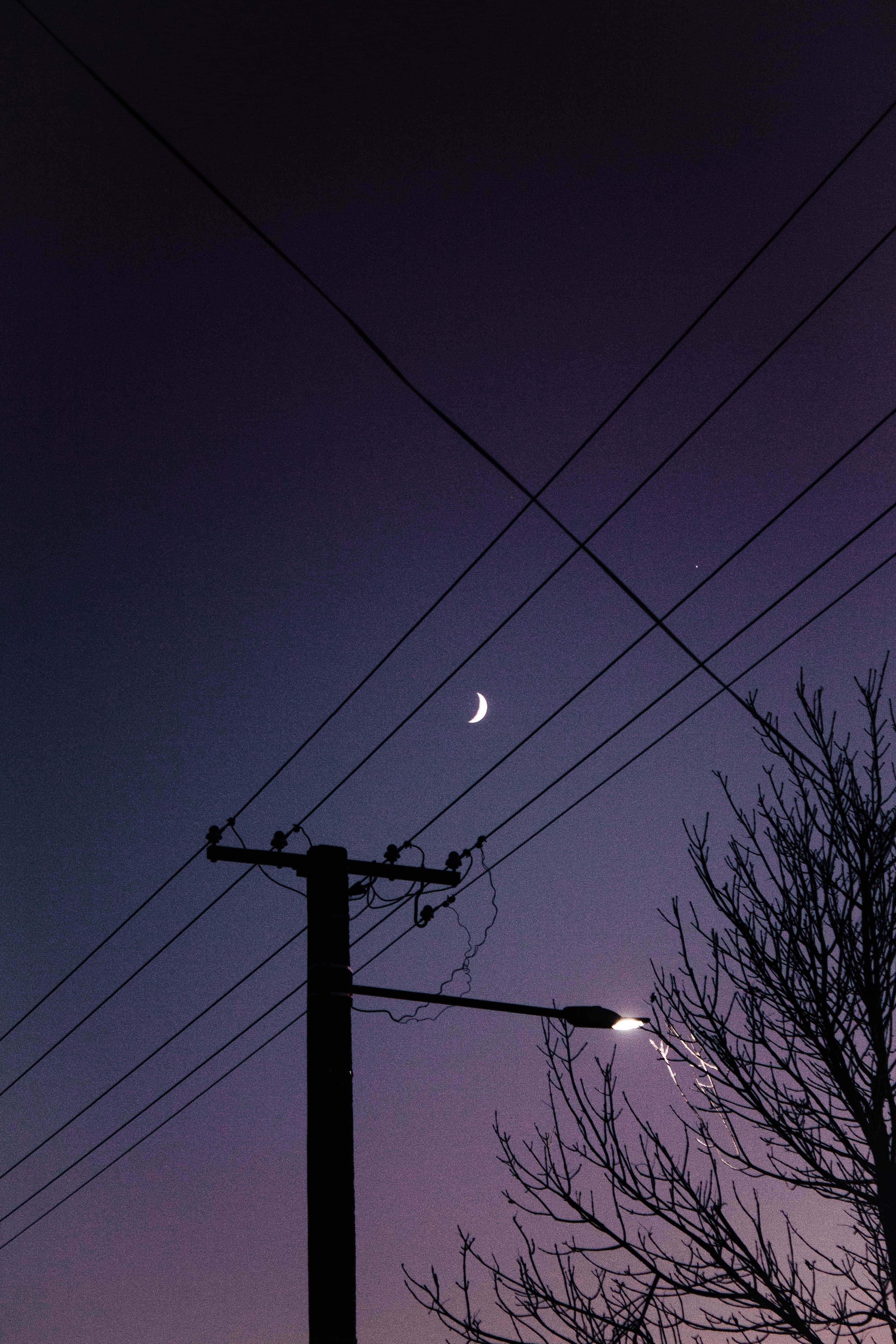 Aesthetic Streetlight At Night pictures — 3355x5032 wallpaper