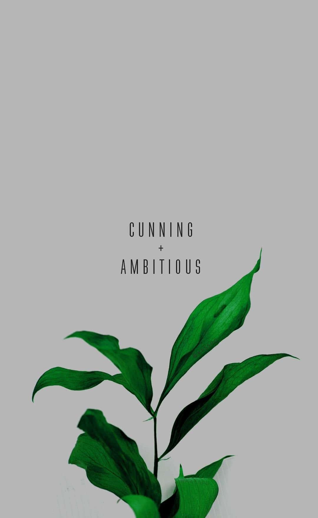 Aesthetic Sunset on Phone Screen — 1080x1759 wallpaper