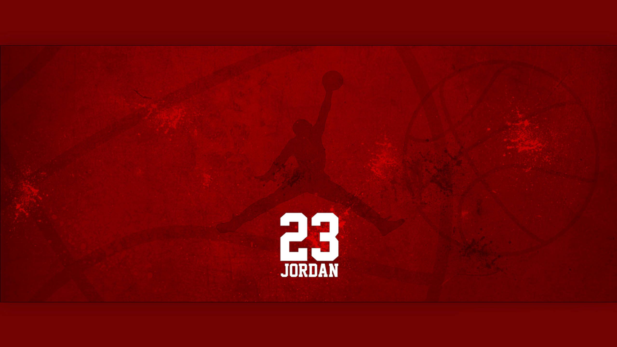 Air Jordan Logo Basketball — 2560x1440 wallpaper
