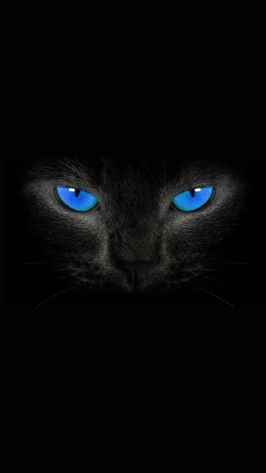Amoled Blue-Eyed Black Cat — 1080x1920 wallpaper